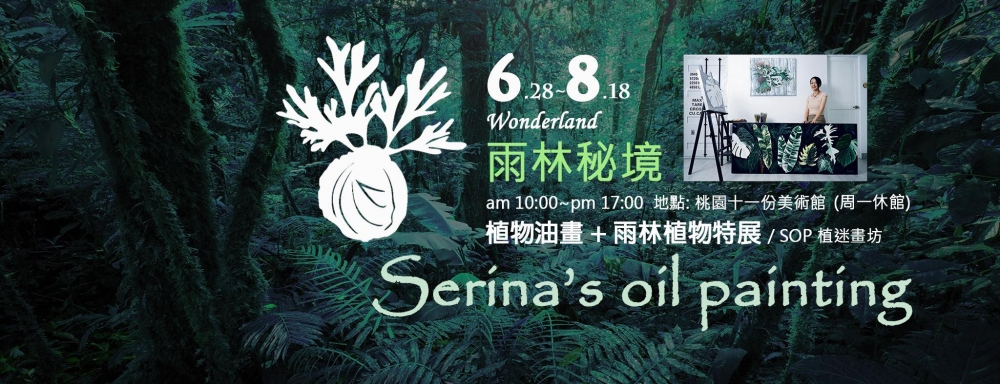 雨林秘境 Wonderland (Round2)