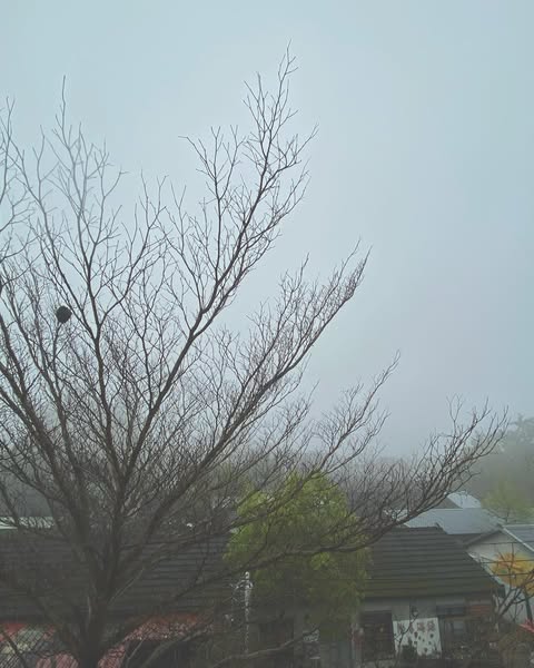 我這是在雲間還是在雨間呢？